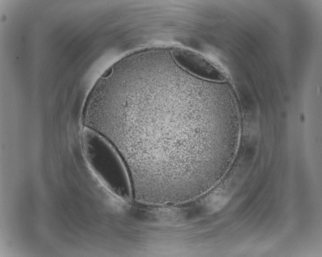 X0000073451287200608041018