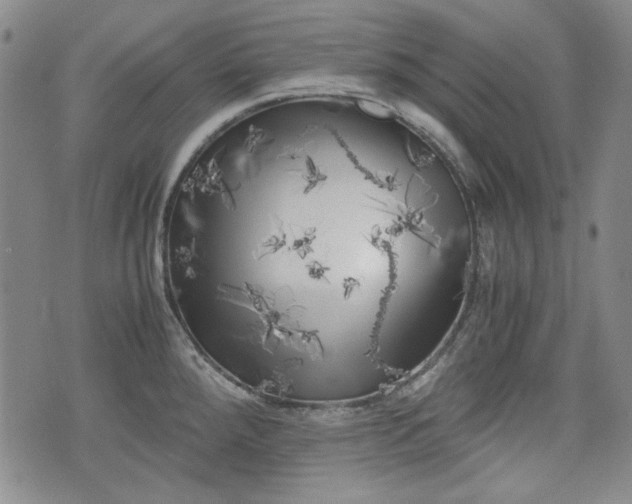 X0000073451288200608041018