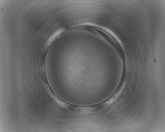 X0000073451289200608041018