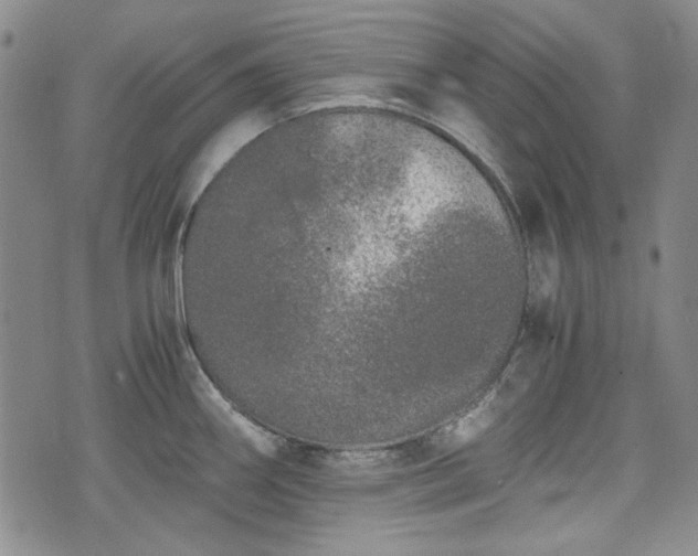 X0000073451290200608041018