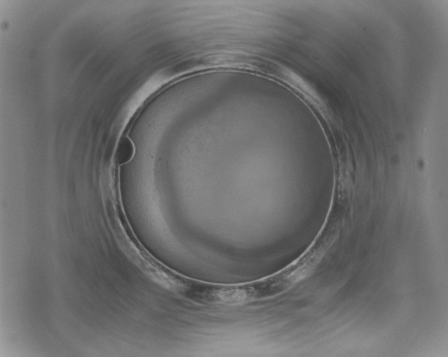 X0000073451291200608041018