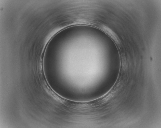 X0000073451292200608041018