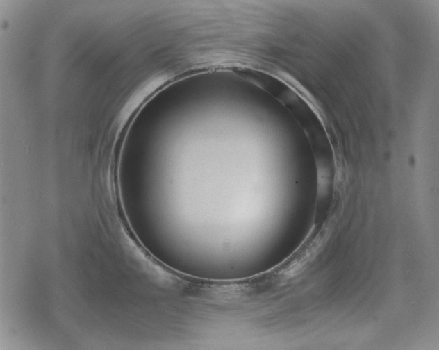 X0000073451293200608041018