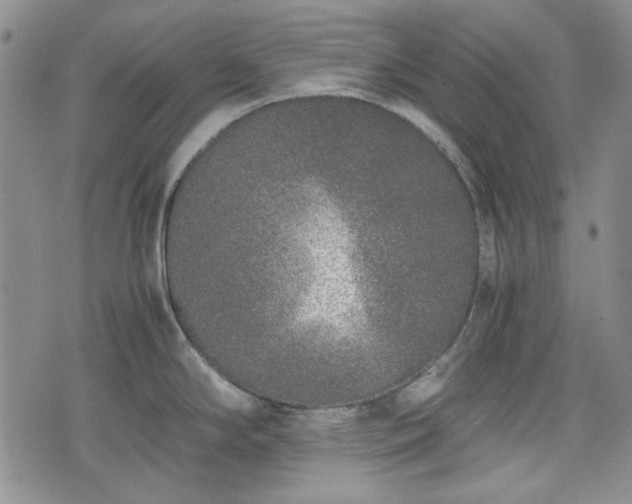 X0000073451294200608041018