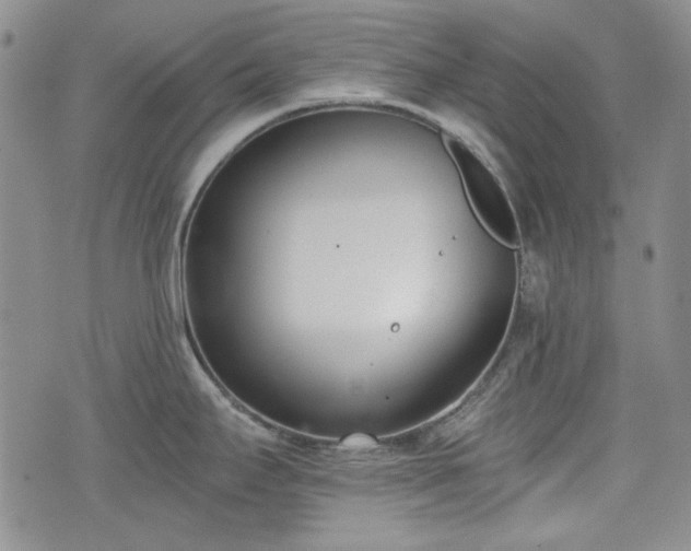 X0000073451295200608041018