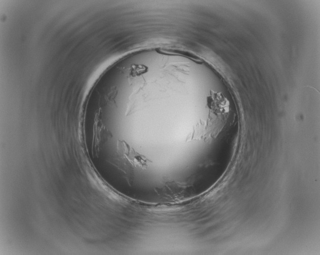 X0000073451296200608041018