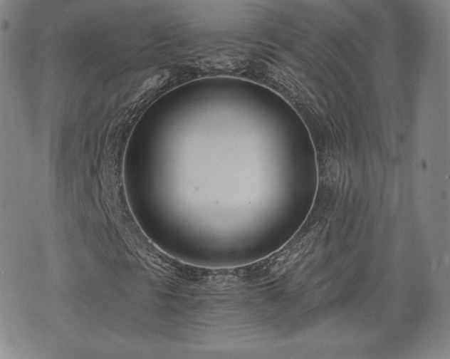 X0000073451297200608041017