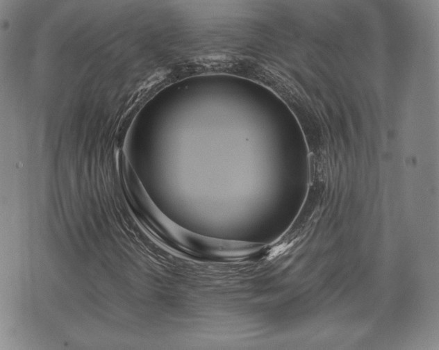 X0000073451298200608041017