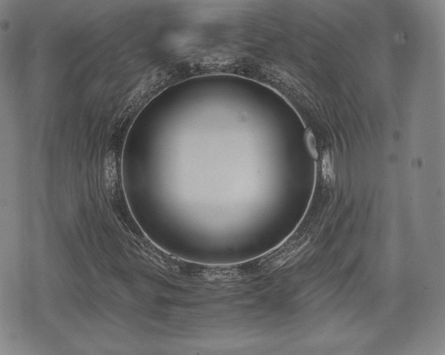 X0000073451299200608041017