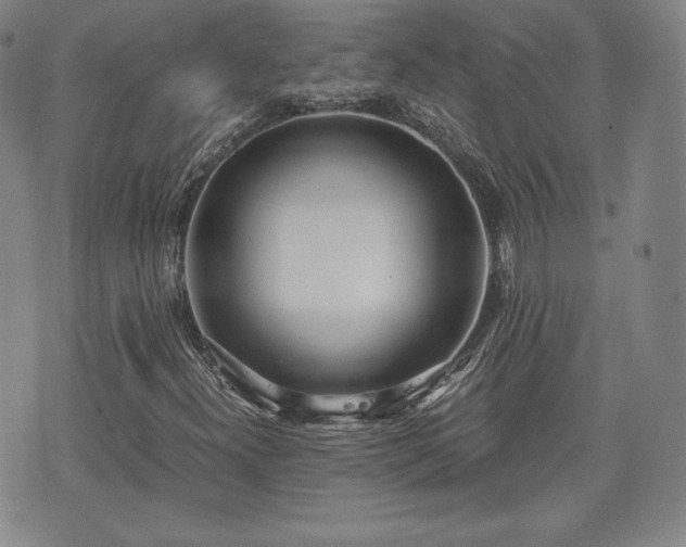 X0000073451300200608041017