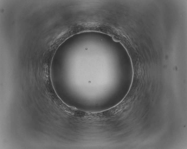 X0000073451301200608041017