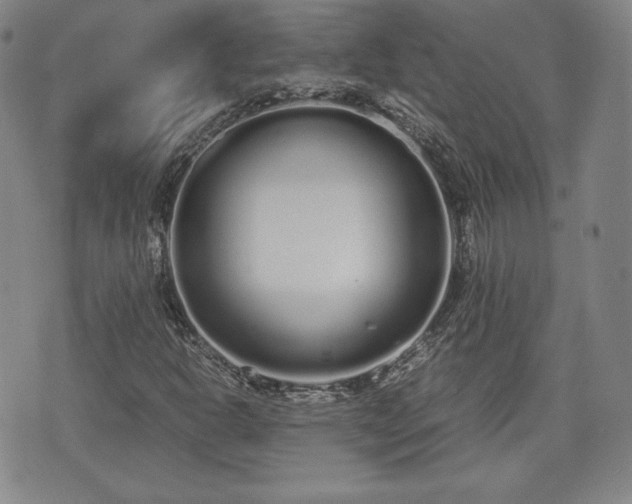 X0000073451302200608041017