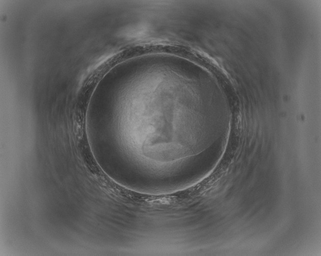 X0000073451303200608041017