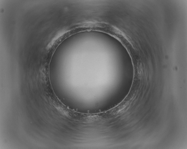 X0000073451304200608041017