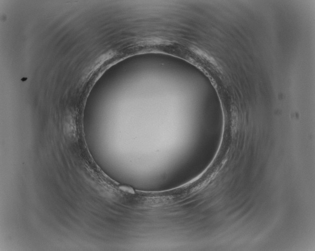 X0000073451305200608041017