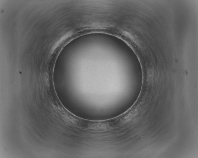 X0000073451307200608041017