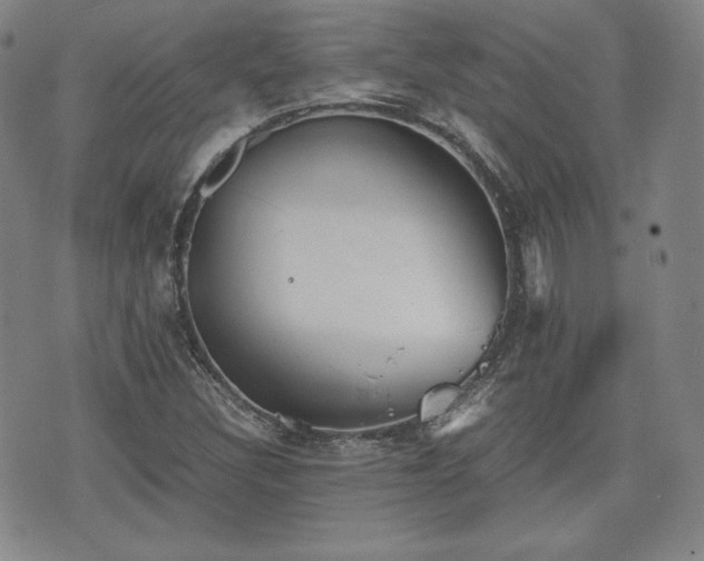 X0000073451308200608041017