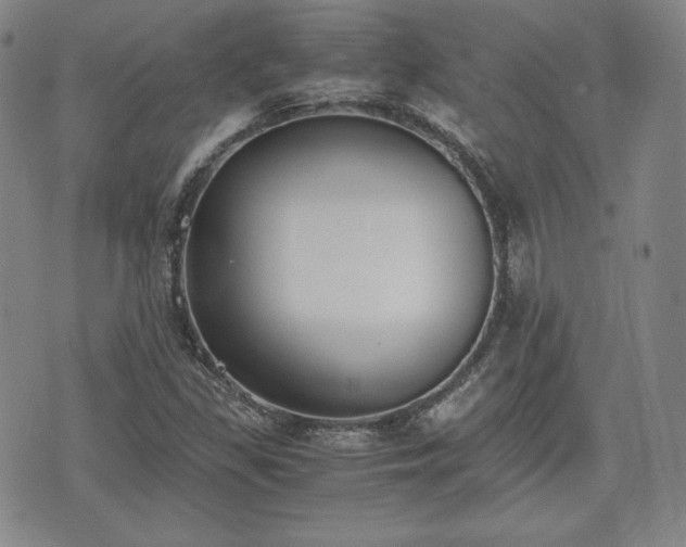 X0000073451309200608041017