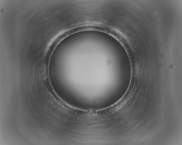 X0000073451310200608041017