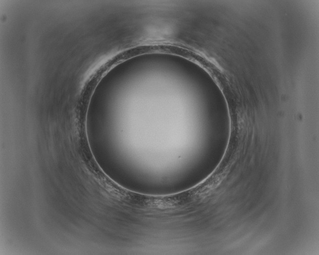 X0000073451311200608041018