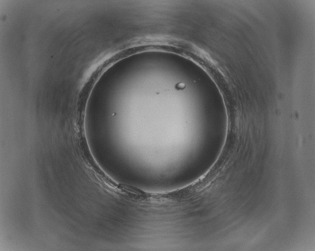 X0000073451312200608041018