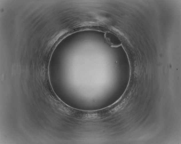 X0000073451313200608041018