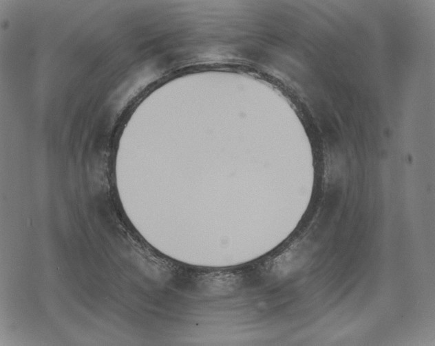 X0000073451314200608041018