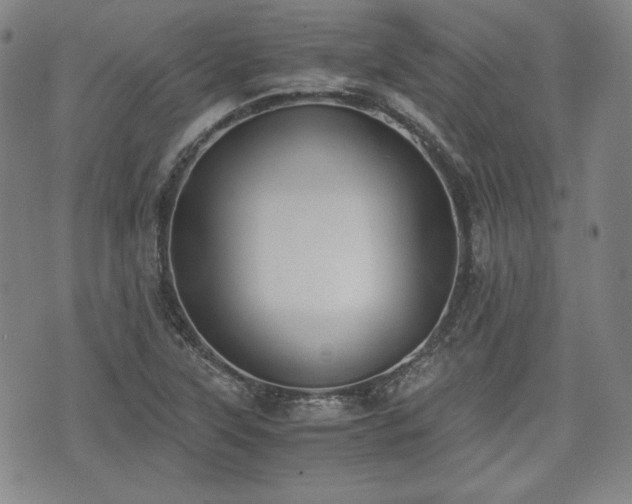 X0000073451315200608041018