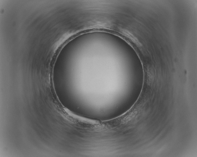 X0000073451316200608041018