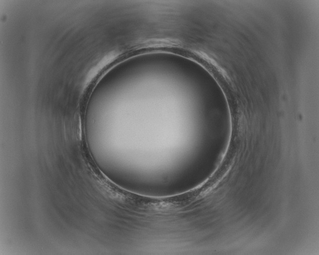 X0000073451317200608041018