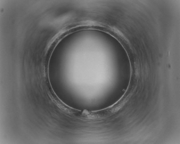 X0000073451318200608041018