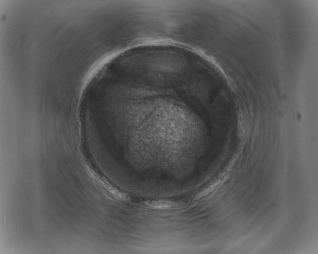 X0000073451319200608041018