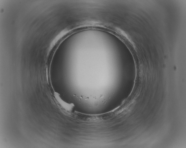 X0000073451320200608041018