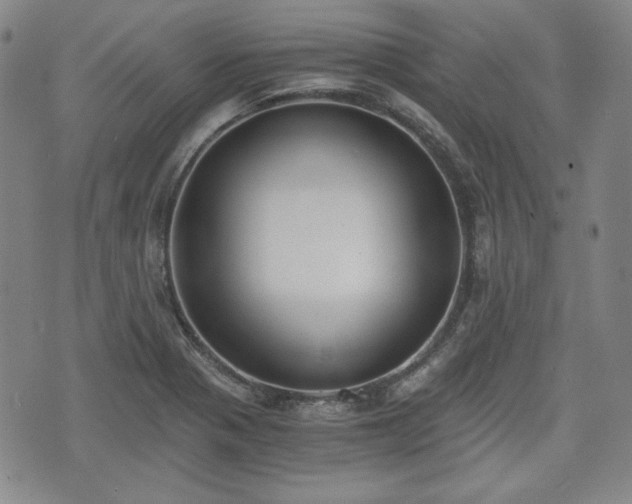 X0000073451321200608041018