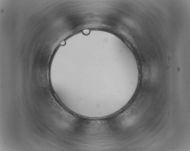 X0000073451322200608041018