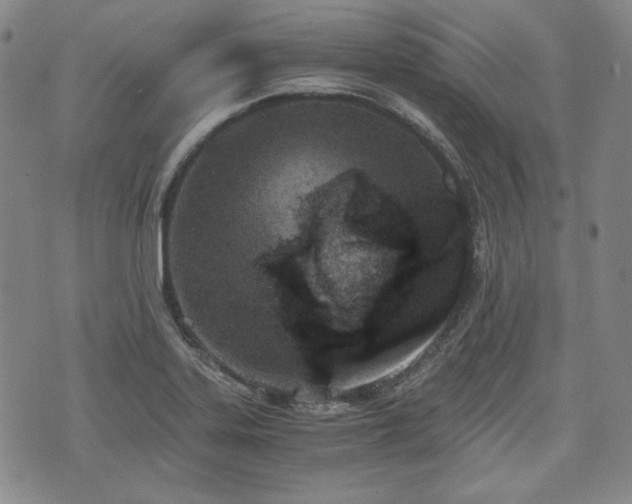 X0000073451323200608041018