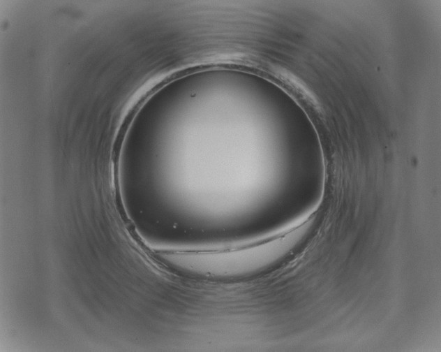 X0000073451324200608041018