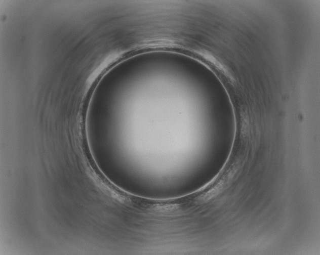 X0000073451325200608041018