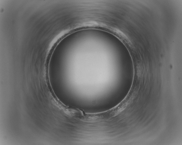 X0000073451326200608041018