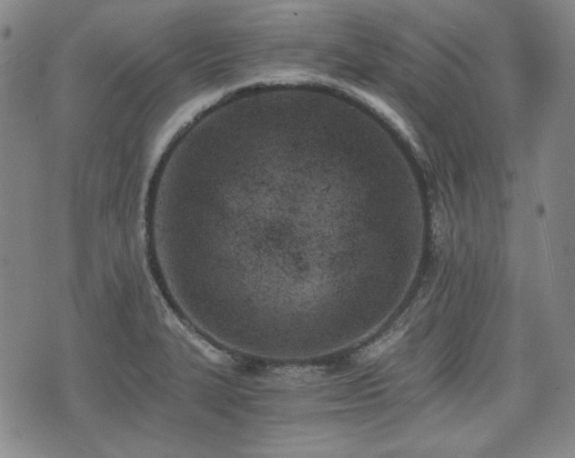 X0000073451327200608041018