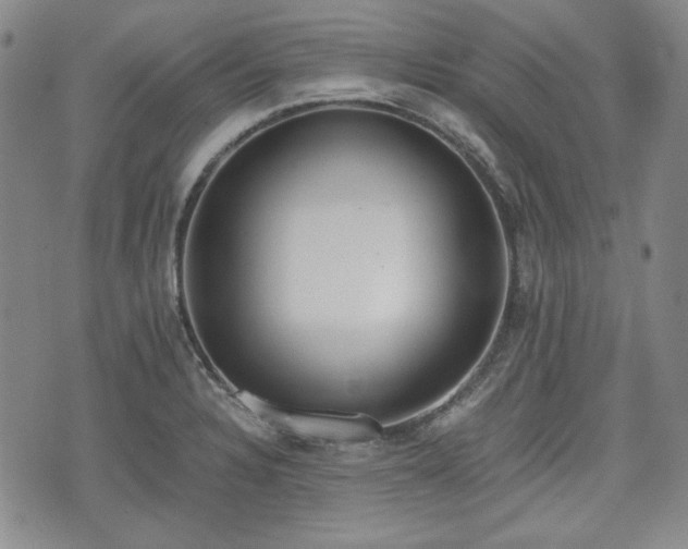 X0000073451328200608041018