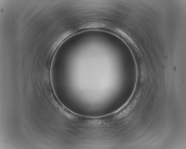 X0000073451329200608041018