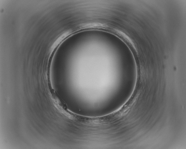 X0000073451330200608041018