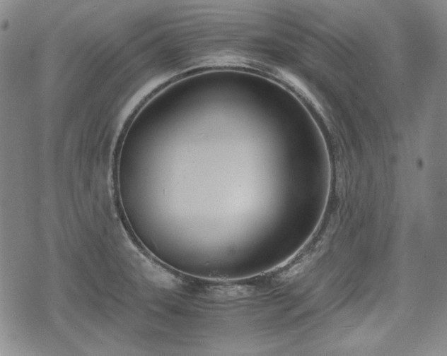 X0000073451331200608041018