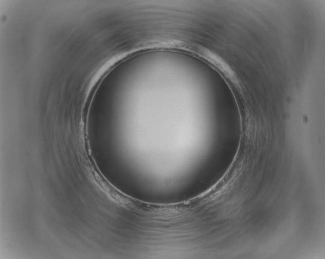 X0000073451332200608041018