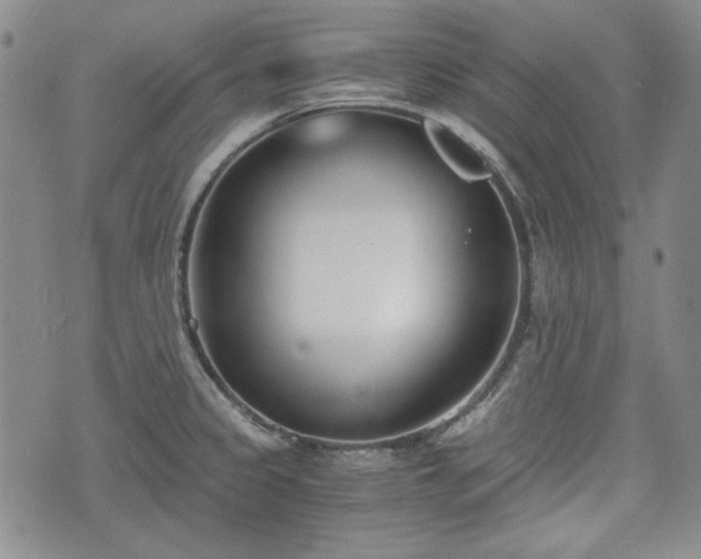 X0000073451333200608041018