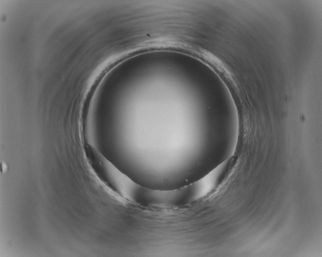 X0000073451334200608041018