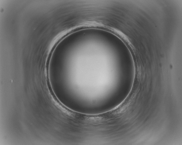 X0000073451335200608041018