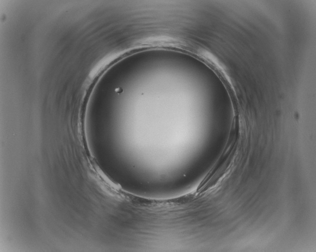 X0000073451336200608041018