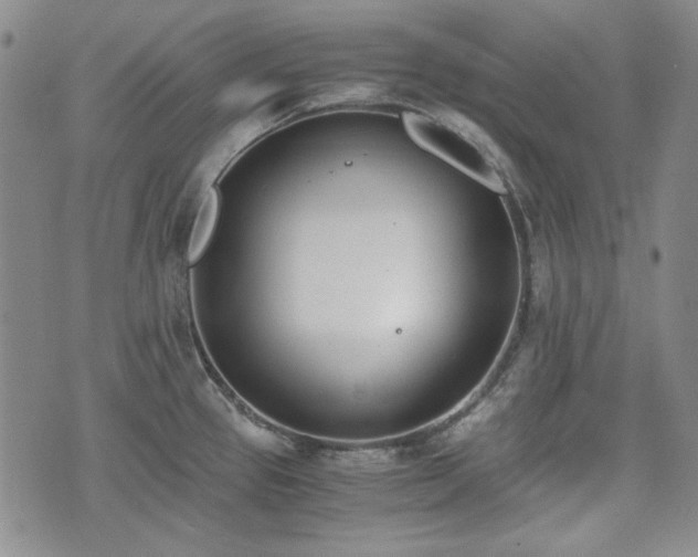 X0000073451337200608041018